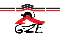 Logo Dach + Fassade GZE GmbH Oberhermsdorf
