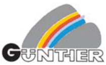 Logo Denis Günther Zimmerei und Holzbau Frohburg