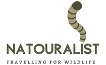 Logo Natouralist Berlin