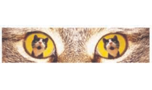 Kundenlogo von Bichler Johanna Entsorgung