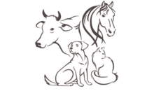 Kundenlogo von Dr. med. vet. Peter Mittermeier