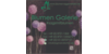 Kundenlogo von Blumen Galerie Dagmar Götz