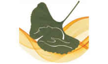 Kundenlogo von Sonja Henn Praxis für Naturheilkunde - Craniosacrale Osteopathie · Cluster Medizin · Wirbelsäulentherapie nach Dorn