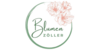 Kundenlogo von Blumenhaus Zöller