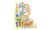 Kundenlogo von Bauhofer Alfred Naturheilpraxis seit 1976