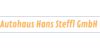 Kundenlogo von Hans Steffl