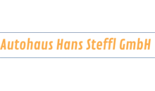 Kundenlogo von Hans Steffl