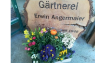 Kundenlogo von Angermaier Erwin Gärtnerei