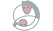 Kundenlogo von Gemeinschaftspraxis d. Frauenärzte