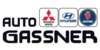 Kundenlogo von Auto Gaßner GmbH & Co. KG