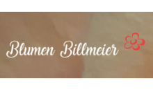 Kundenlogo von Blumen Billmeier Inh. I.Gözen