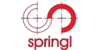 Kundenlogo von Springl Peter Ingenieurbüro