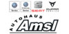 Kundenlogo von Thomas Amsl Autohaus