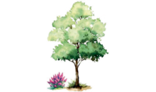 Kundenlogo von Cervinka Garten- und Landschaftsbau