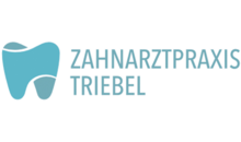 Kundenlogo von Zahnarztpraxis Triebel