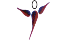 Kundenlogo von Ergotherapie und Physiotherapie | Praxis van der Weerd