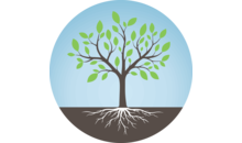 Kundenlogo von Lemmer Anke Dr.