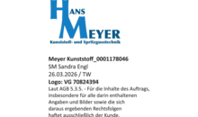 Kundenlogo von Hans Meyer Kunststoff- und Spritzgusstechnik,  Inh. Christian Seuboth e.K.