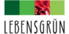 Kundenlogo von Blumen Lebensgrün