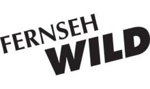 Kundenlogo von Fernseh Wild