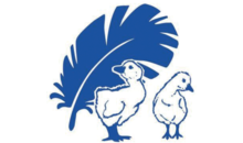 Kundenlogo von Betten Hofmann