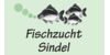 Kundenlogo von Sindel GmbH & Co. KG