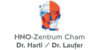 Kundenlogo von HNO-Zentrum Cham | Dr. med. Michael Hartl + Dr. med. Stephan Laufer
