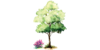 Kundenlogo von Cervinka Garten- und Landschaftsbau