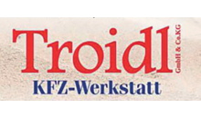 Kundenlogo von Troidl GmbH & Co. KG Aushub - Erdarbeiten - Kehrmaschinen