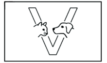 Kundenlogo von Dürr Babette Tierärztin