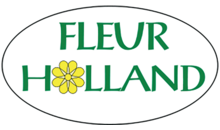 Kundenlogo von Fleur Holland Blumen im E-Center