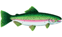 Kundenlogo von Brigittes Frischfisch und Räucherecke