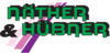 Kundenlogo von Näther & Hübner GmbH - Außenputz, Innenputz, Trockenputz