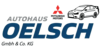 Kundenlogo von Autohaus Oelsch GmbH & Co. KG