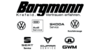 Kundenlogo von Autohaus Borgmann