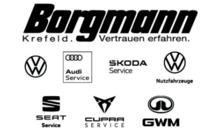 Kundenlogo von Autohaus Borgmann