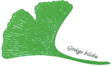 Kundenlogo von Blumen Ebben Meisterfloristik in Kleve Fleurop-Service,  Hochzeits- & Trauerfloristik