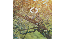 Kundenlogo von Naturheilpraxis Edeltraud Kamp