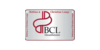 Kundenlogo von BCL-Steuerberater Bettina und Christian Lange