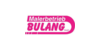 Kundenlogo von Malerbetrieb Bulang GmbH