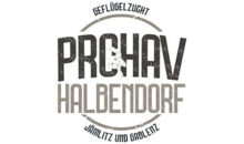 Kundenlogo von Produktions-Handels- und Vermarktungsgesellschaft (PROHAV) Halbendorf