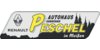 Kundenlogo von Autohaus Gebrüder Peschel Inhaber Dipl.-Ing. Heinz Peschel e.K.