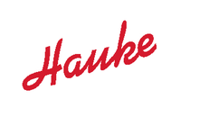 Kundenlogo von Corinna Hauke Elektrofachgeschäft