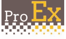 Kundenlogo von ProEx GmbH