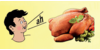 Kundenlogo von Küche Haubold e.K., Inh. Nicole Lange