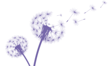 Kundenlogo von Bestattungen Regina Ranke