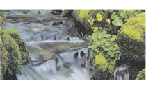 Logo Pietät Glaser Inh. Volker Glaser Aschaffenburg