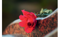 Logo Graichen-Bestattungen Inh. Mike Graichen Hartha