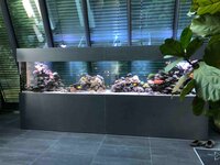 Bild 7 Premium Aquarium Berlin in Berlin