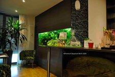 Bild 5 Premium Aquarium Berlin in Berlin
